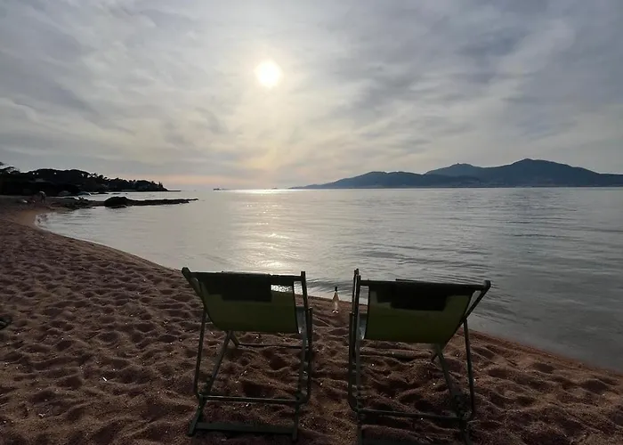 T2 Jardin & Acces Privee *